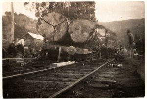 Westerway derailment 1960 photo from John Davenport.jpg